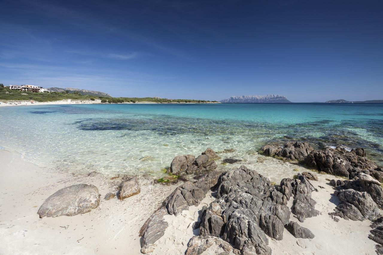 Giglio Apartment Vista Mare E Parcheggio Privato Porto Rotondo Eksteriør bilde